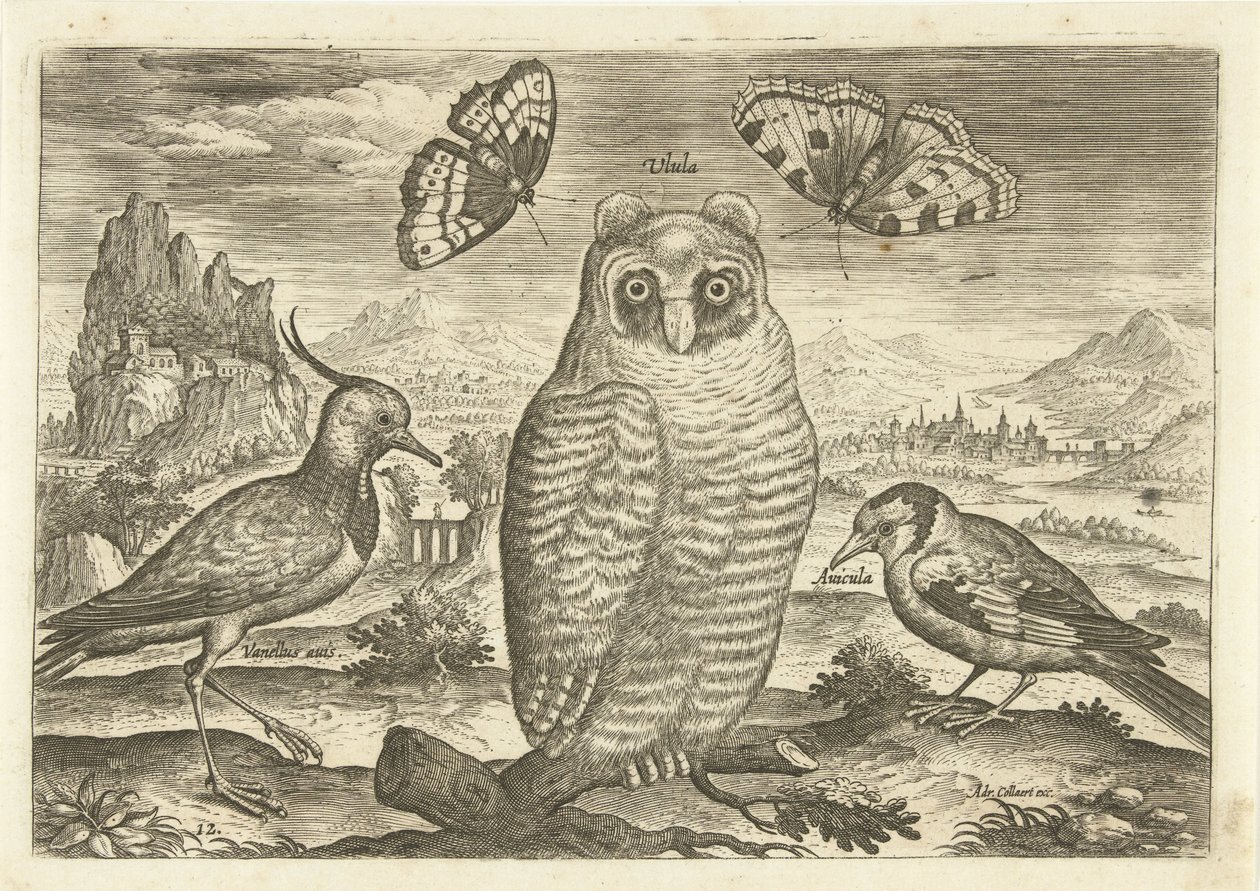 Fåglar och fjärilar i ett landskap Fåglar (serietitel) Avium vivae (serietitel) av Adriaen Collaert