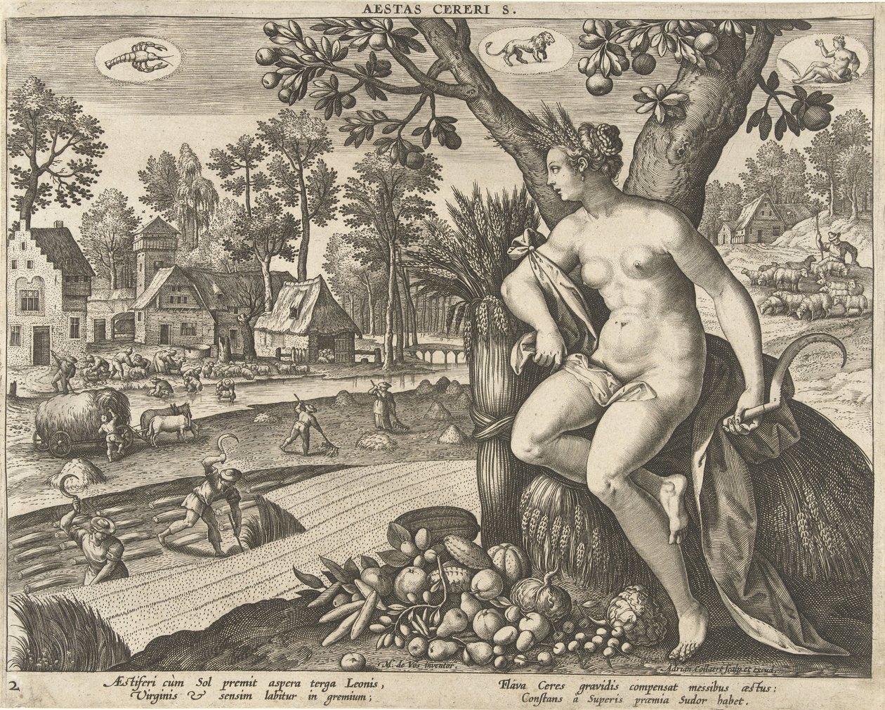 Sommar Aestas cereris. (titel på objekt) The Four Seasons (serietitel) av Adriaen Collaert