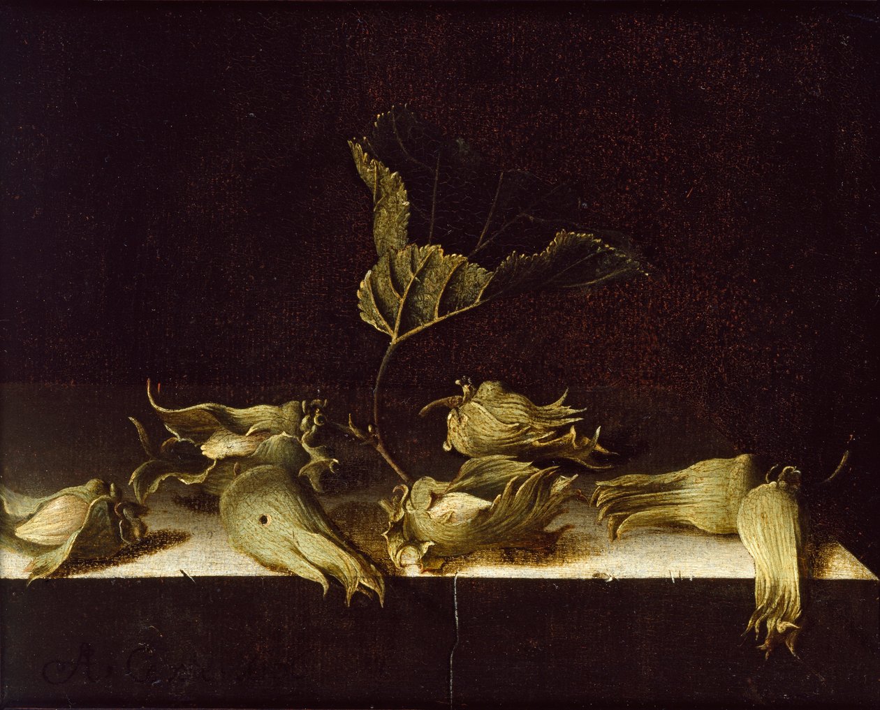 Stilleben med hasselnötter, 1696 av Adrian Coorte