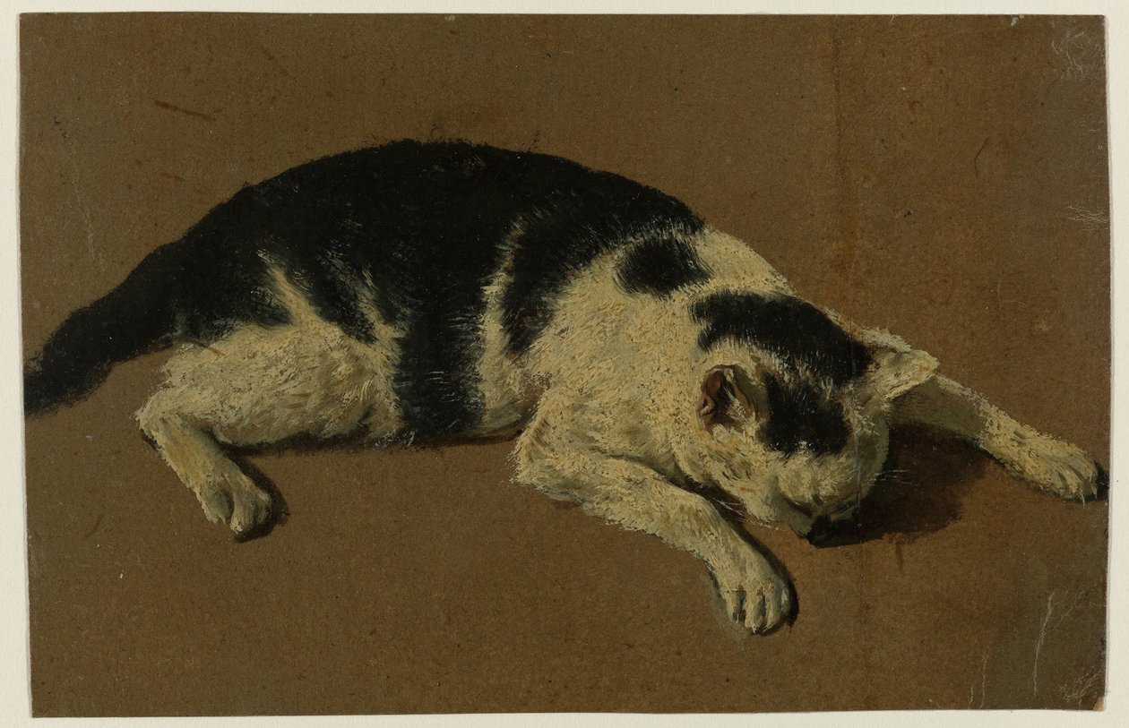 Katt liggande med huvudet mellan frambenen av Adriaen van de Velde (attributed to)