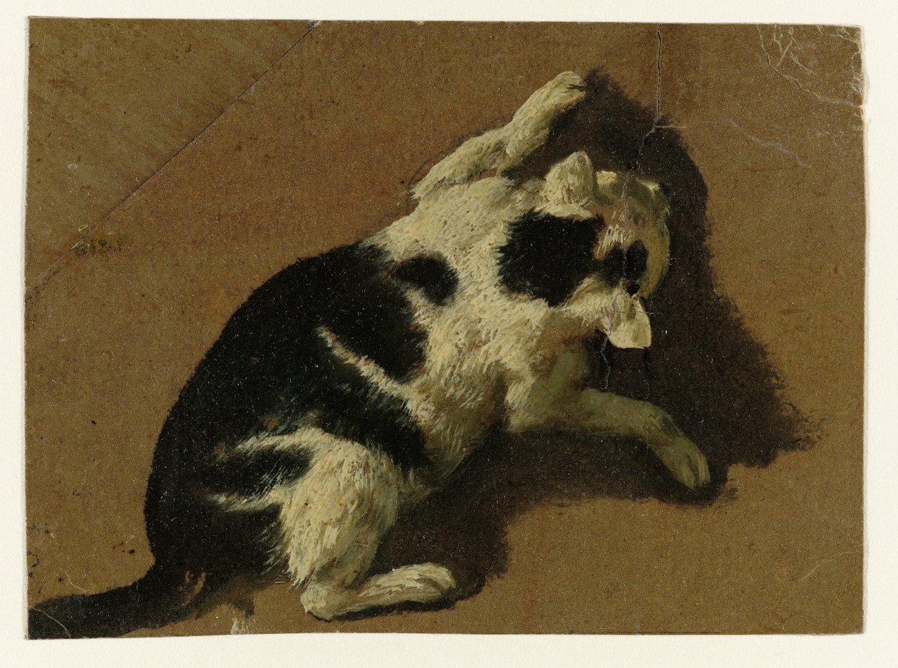 Katt som leker nära en vägg av Adriaen van de Velde (attributed to)