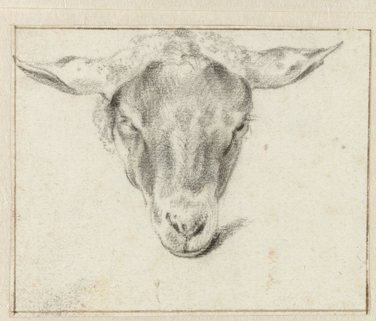 Fårhuvud, framifrån av Adriaen van de Velde (attributed to)
