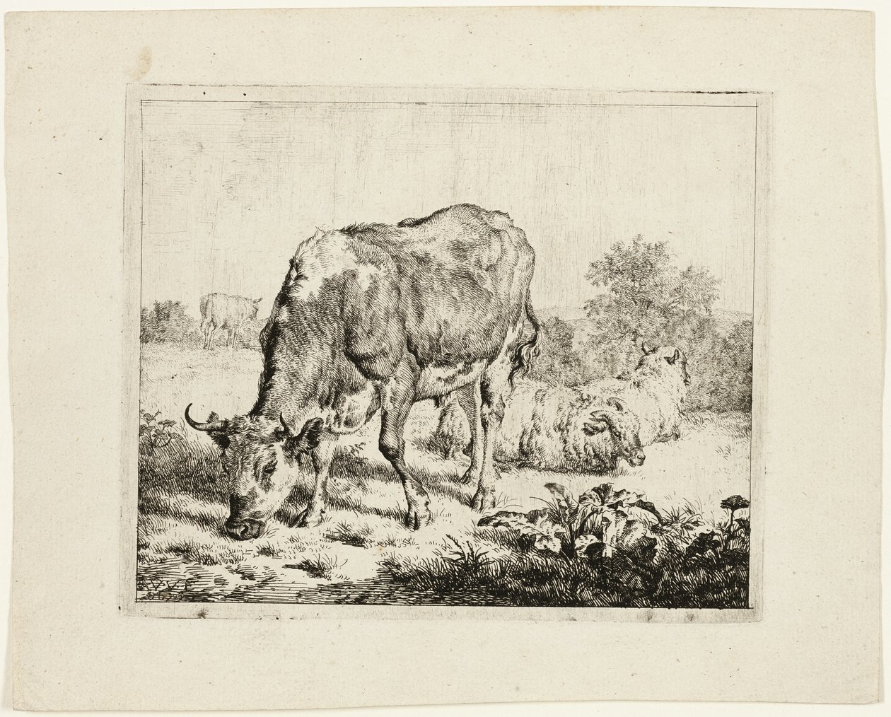 Tjurbete och tre får av Adriaen van de Velde