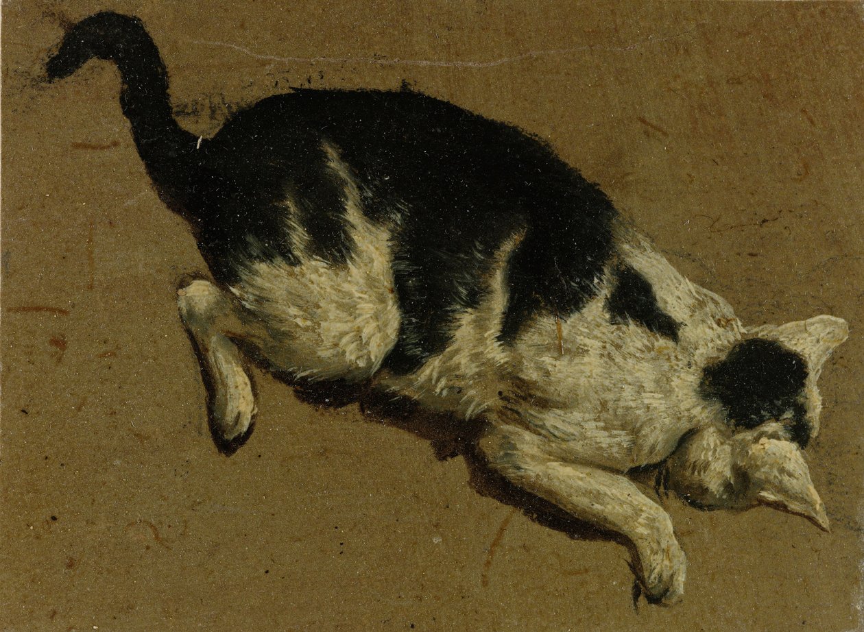 Katt från ovan (penselteckning) av Adriaen van de Velde