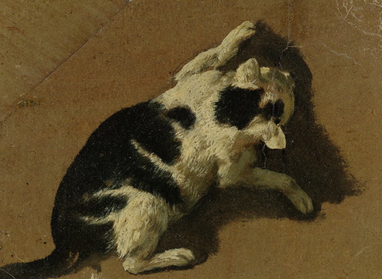 Katt som leker (penselteckning) av Adriaen van de Velde