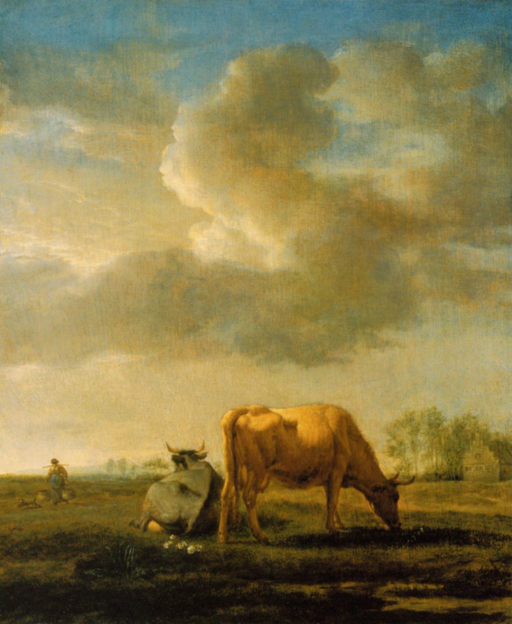 Kor på ett fält av Adriaen van de Velde