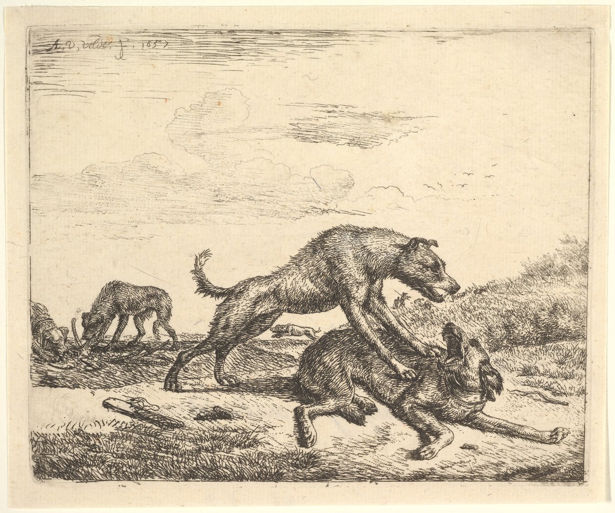 Kamphundar, från olika djur, 1657. av Adriaen van de Velde