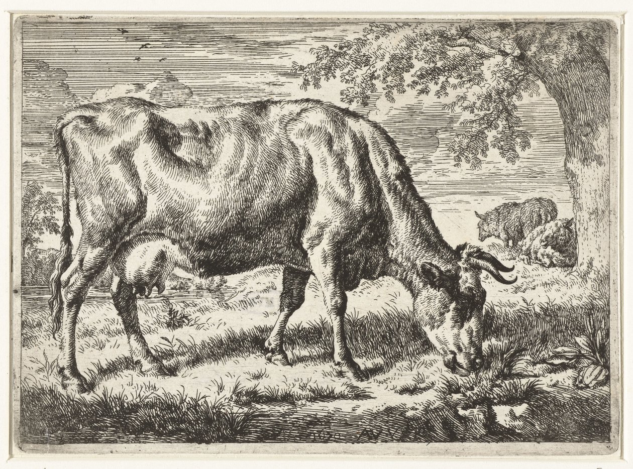 Betande ko och två får Kor och får (serietitel) av Adriaen van de Velde