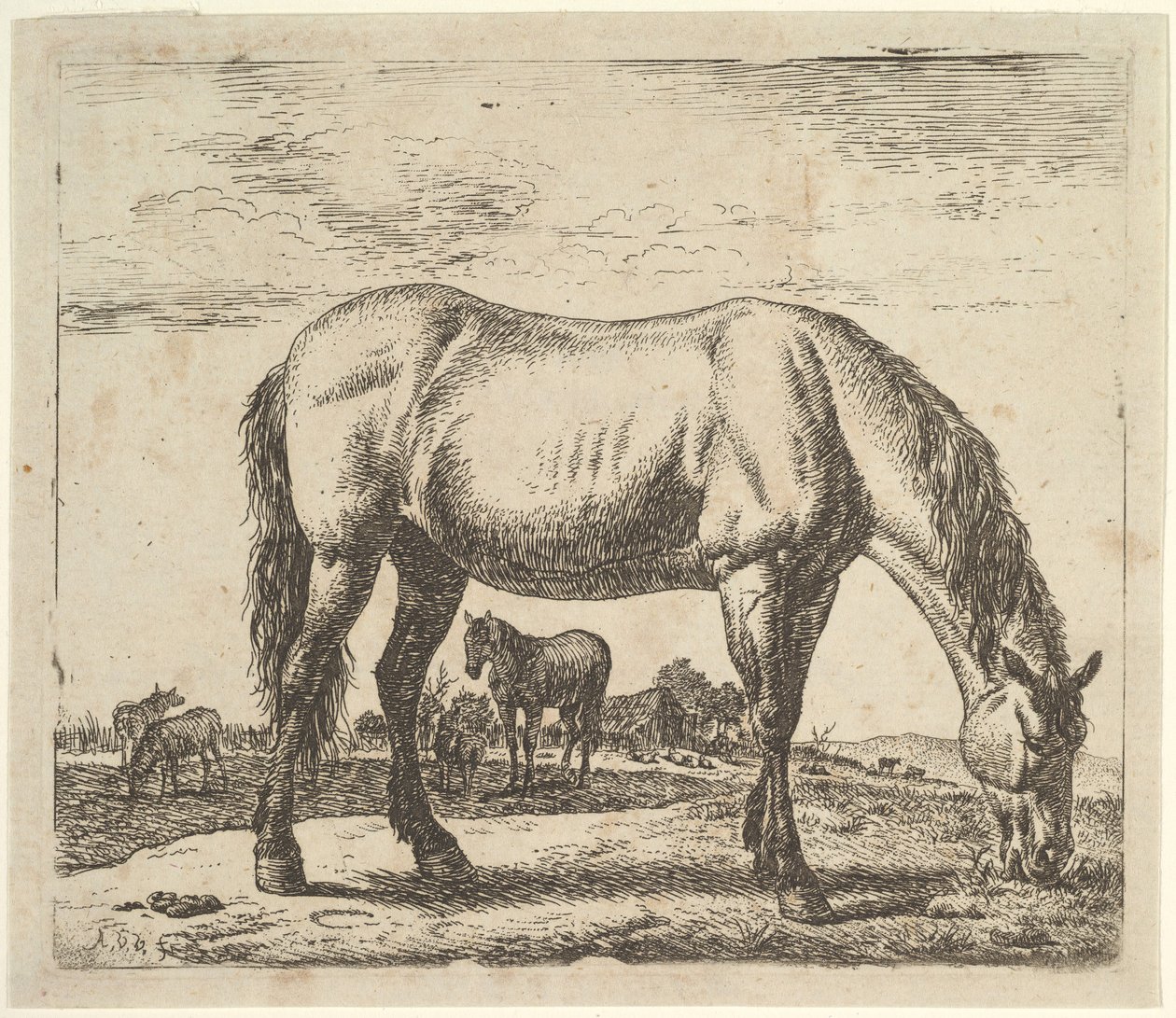Betande häst, från olika djur. av Adriaen van de Velde
