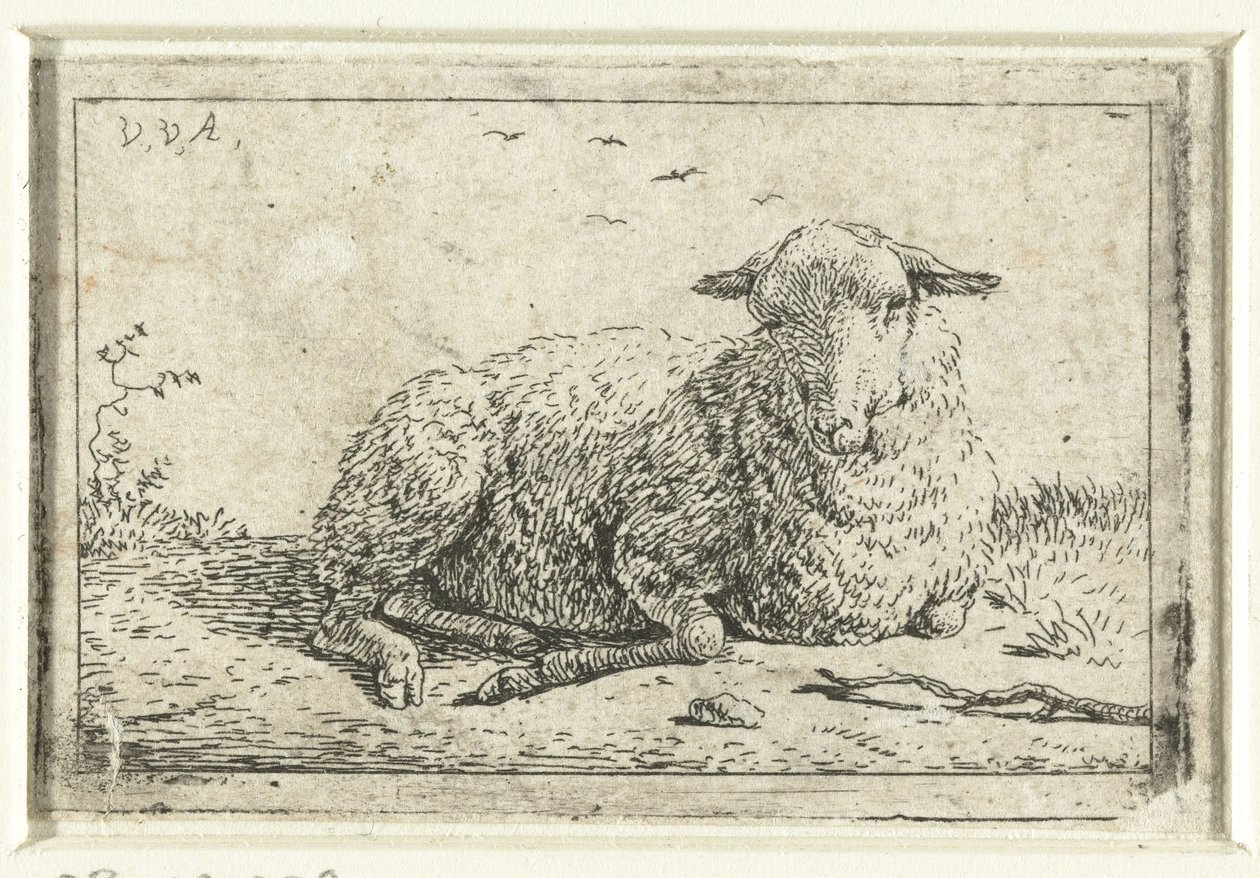 Liggande får av Adriaen van de Velde