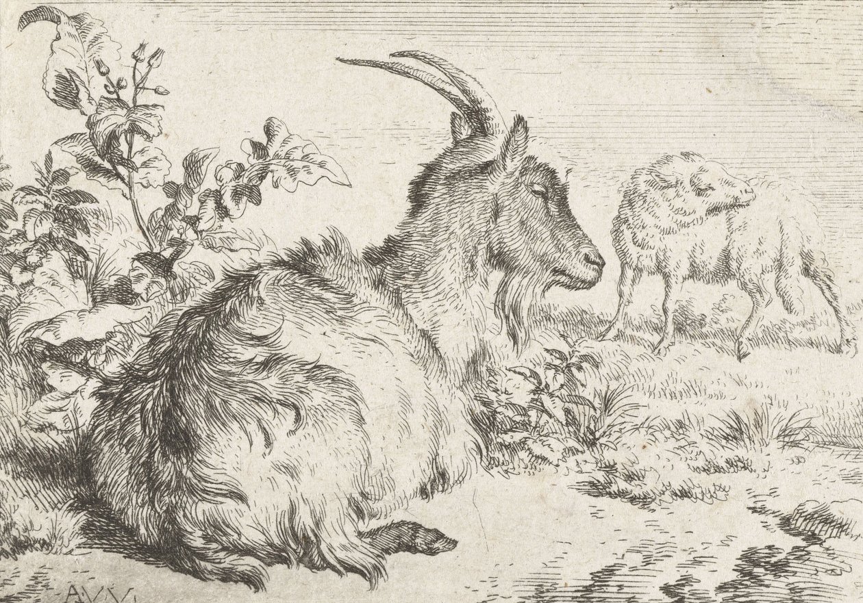 Liggande get, 1670 av Adriaen van de Velde