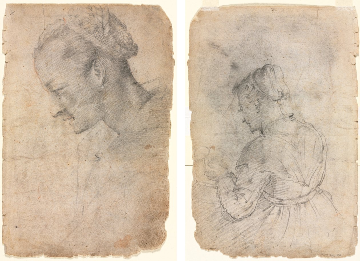 Profil av en kvinnas huvud (recto) A Kitchen Maid (verso) av Adriaen van de Velde