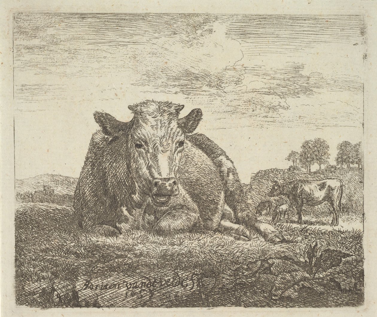 Liggande ko, från olika djur, 1657. av Adriaen van de Velde
