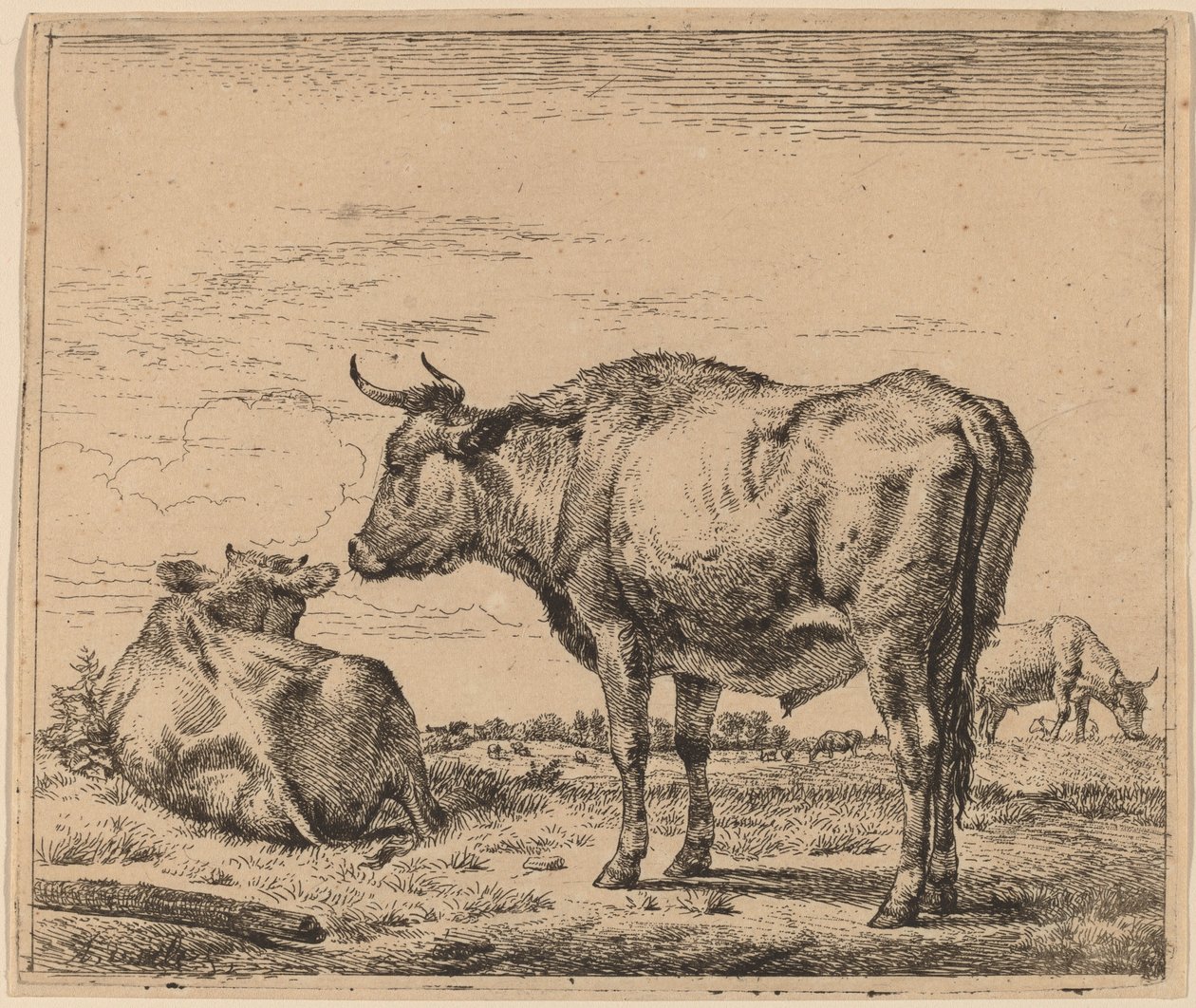 Stående Bull av Adriaen van de Velde