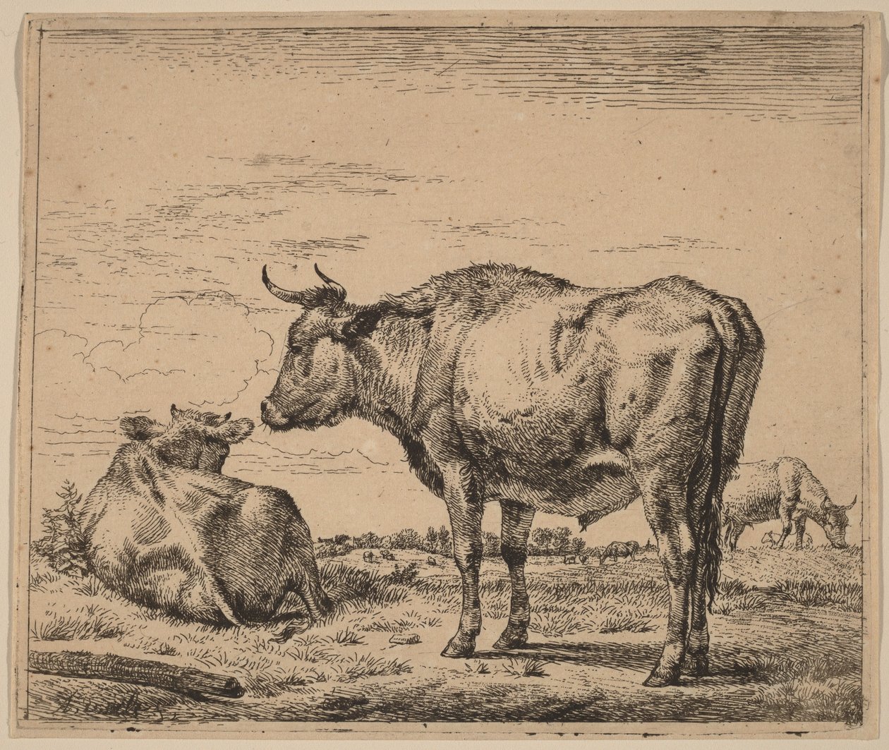 Stående tjur av Adriaen van de Velde