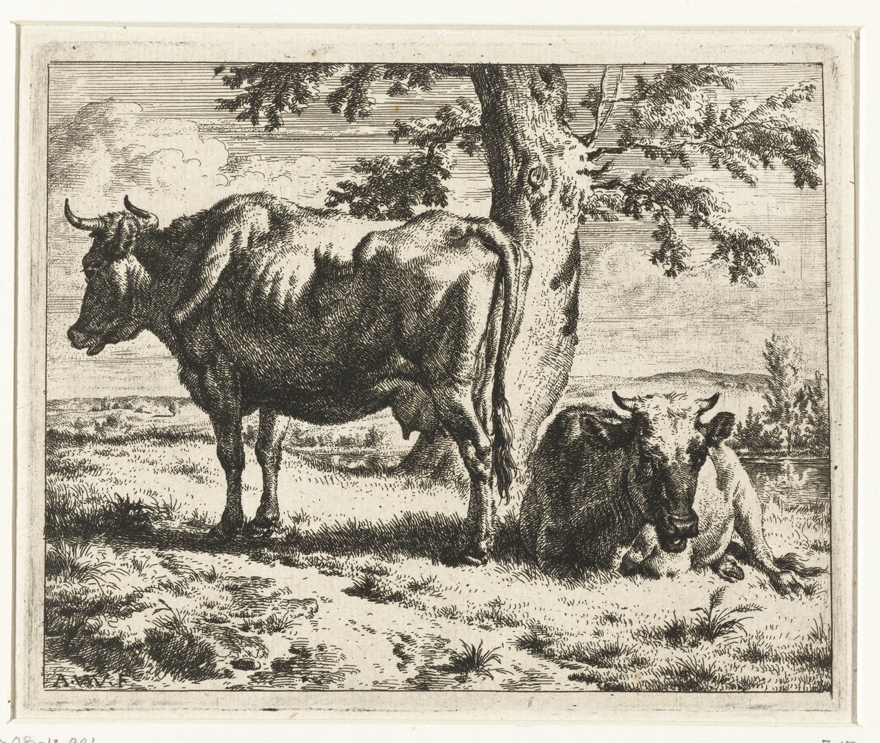 Två kor under ett träd Kor och får (serietitel) av Adriaen van de Velde