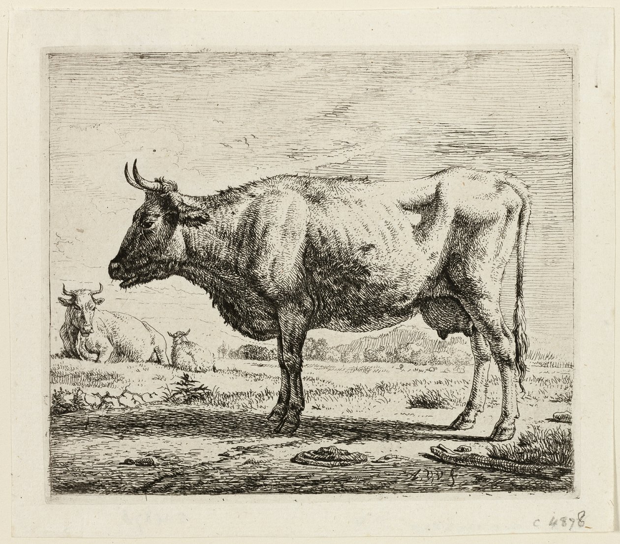Två kor och ett får av Adriaen van de Velde