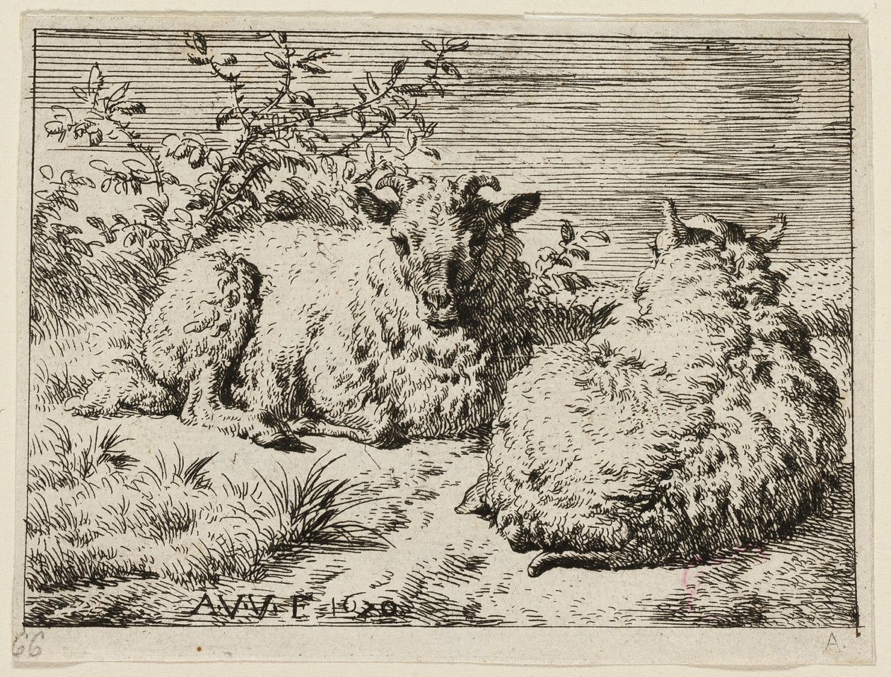 Två får av Adriaen van de Velde