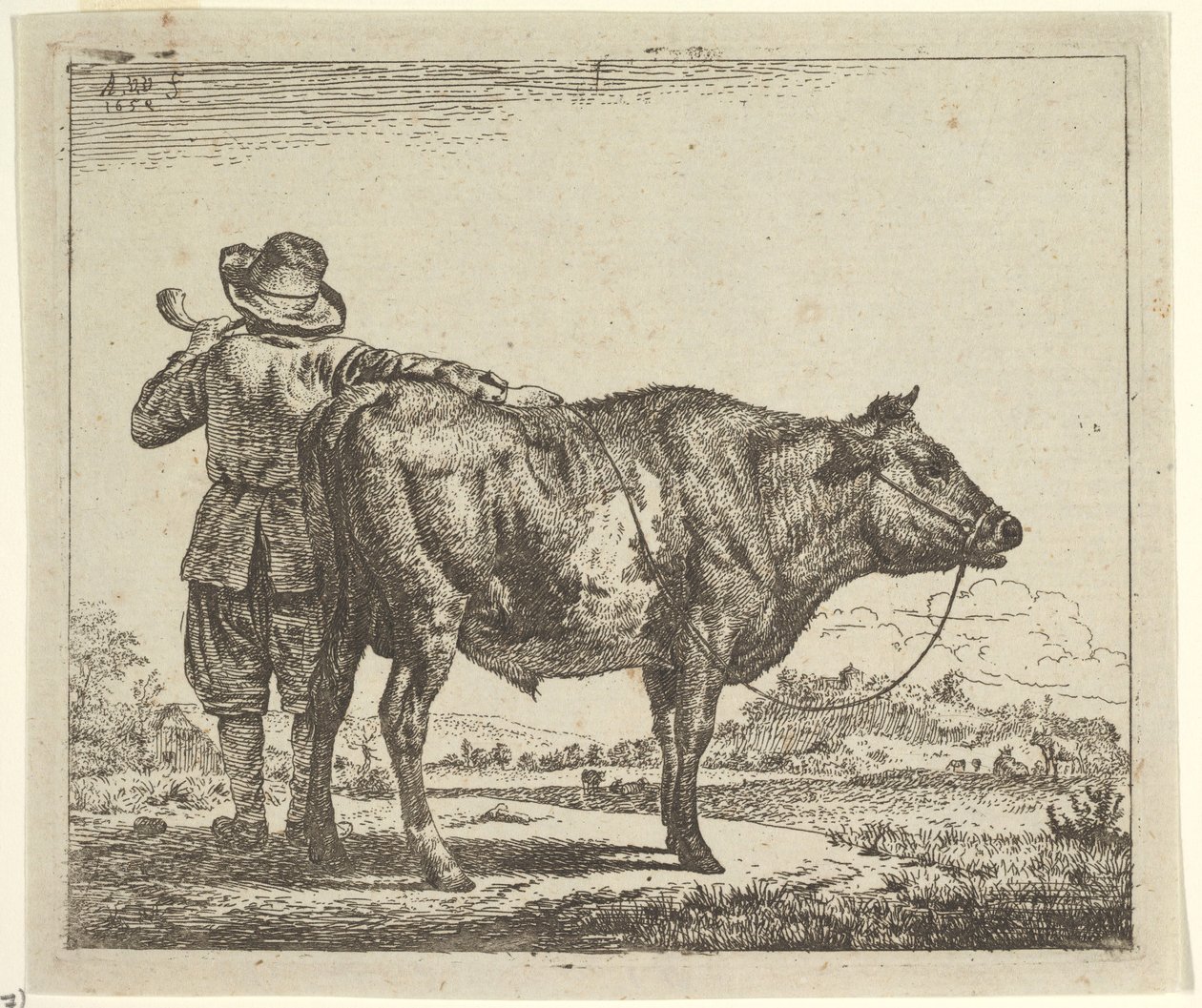 Ung herd med en tjur, från olika djur, 1659. av Adriaen van de Velde