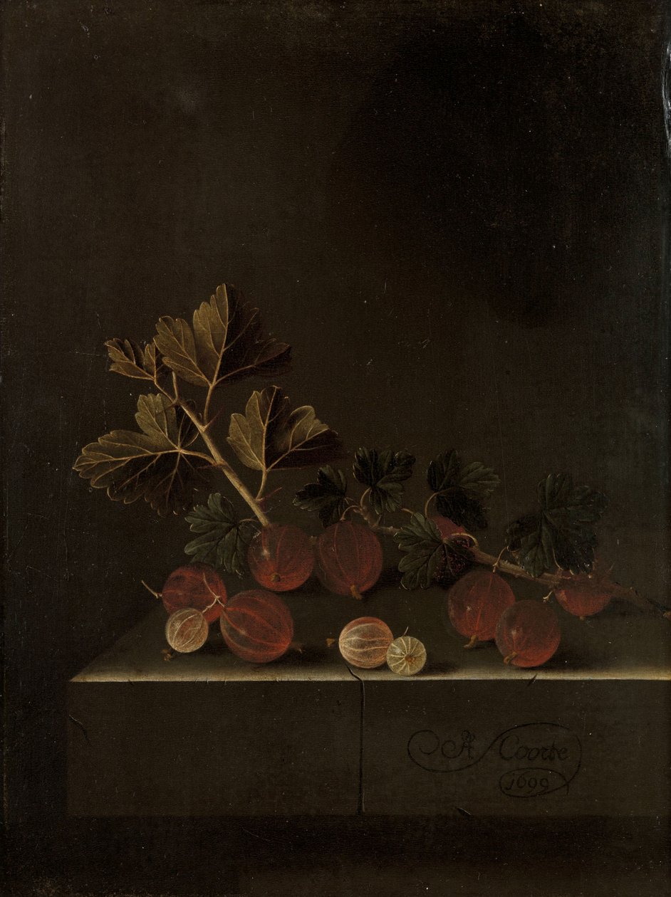 En kvist krusbär på en stensockel, 1699 av Adrian Coorte