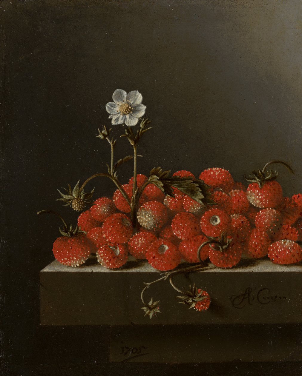 Stilleben med vilda jordgubbar, 1705 (olja på papper på panel) av Adrian Coorte