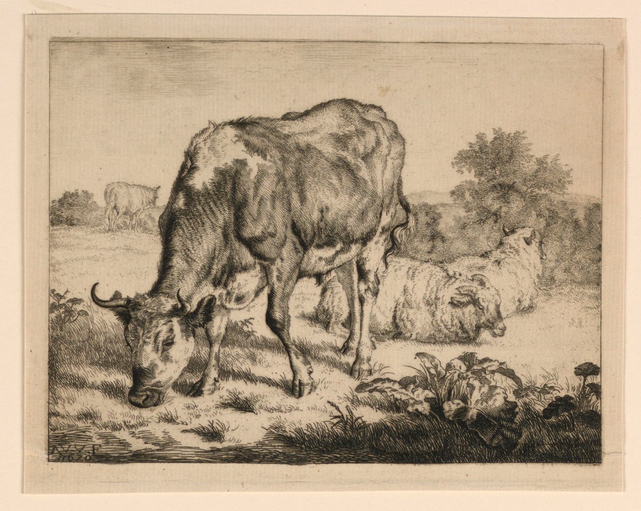 Oxe och tre får av Adrian van de Velde