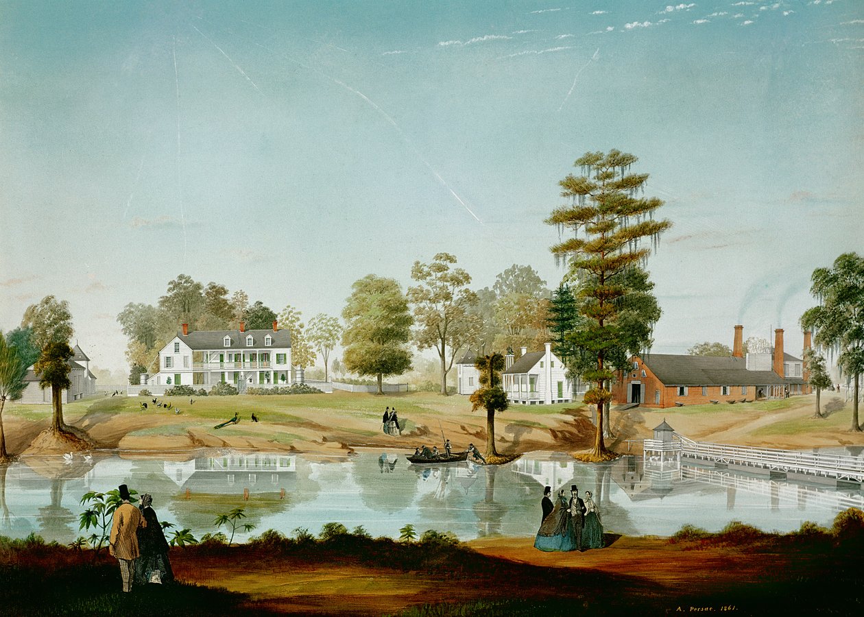 Olivierplantagen, 1861 av Adrien Persac