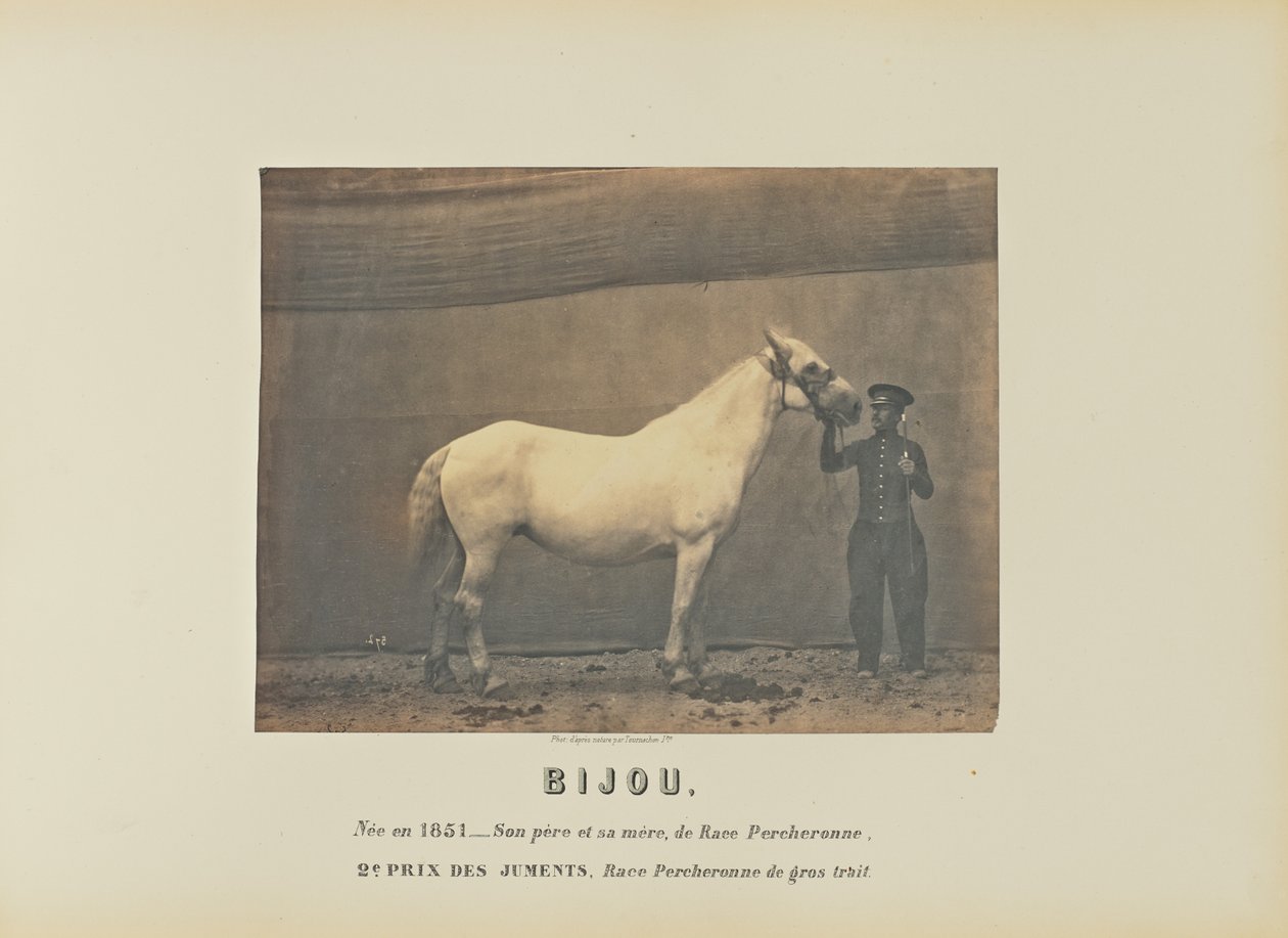 Bijou av Adrien Alban Tournachon
