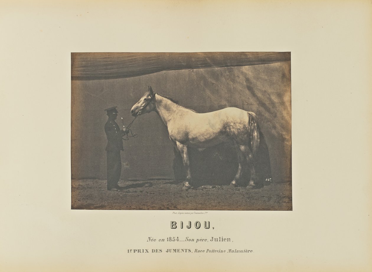 Bijou av Adrien Alban Tournachon