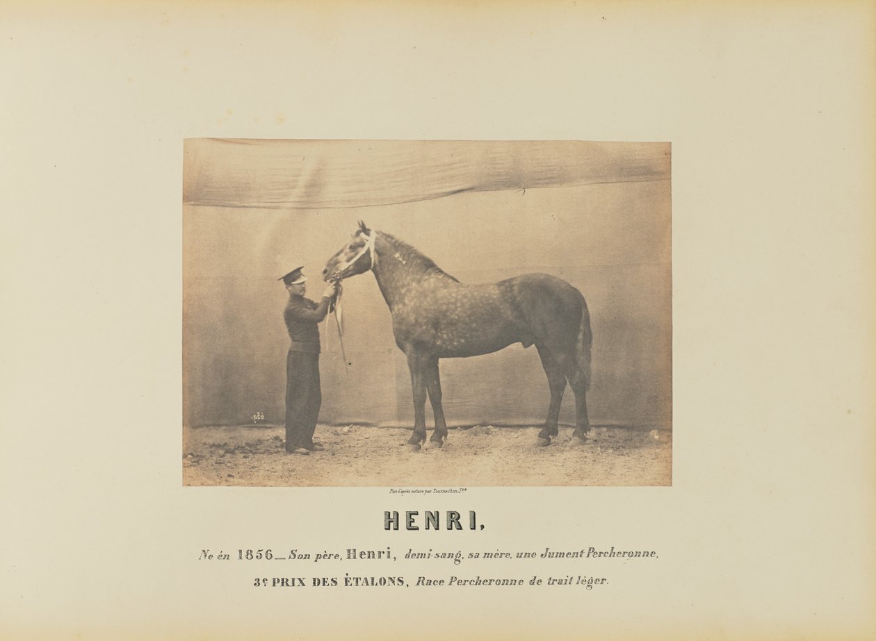 Henri av Adrien Alban Tournachon
