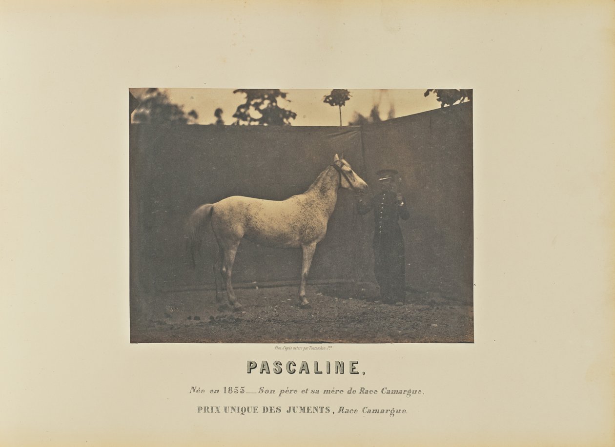 Pascaline av Adrien Alban Tournachon