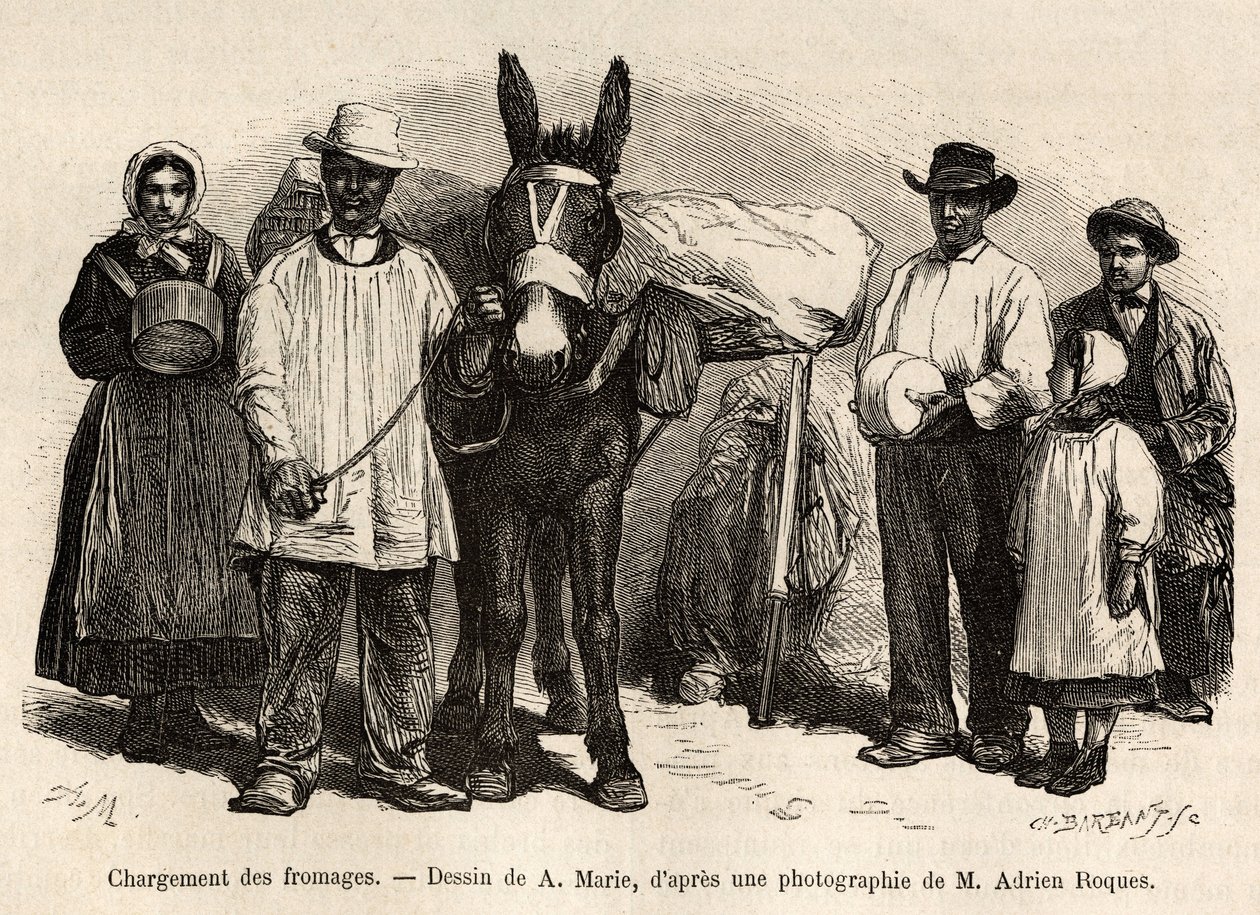 Lastningen av ostar på baksidan av en mula, mot Roqueforts källare, gravyr efter en teckning av A.Marie, illustrerande en resa till Roquefort och dess omgivningar, av Adrien Roques och Jules Charton, 1874, publicerad i "" Le tour du monde””” av Adrien Emmanuel Marie