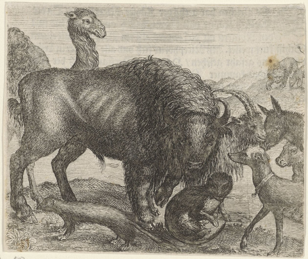 Fabel om bisonen och de andra djuren av Egidius  Sadeler (II)