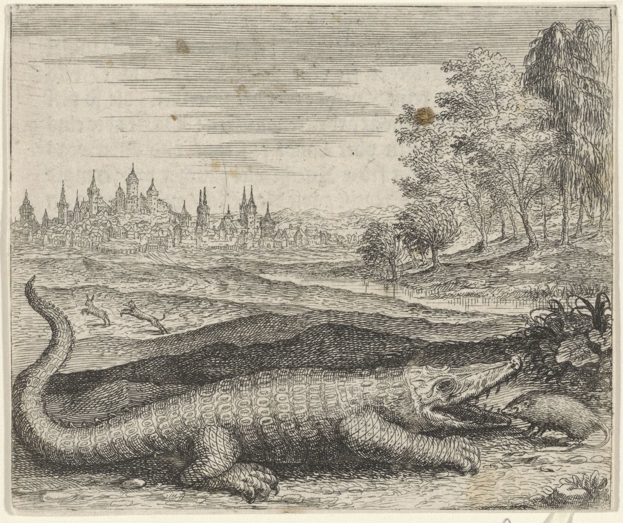 Fabel om krokodilen och mungosen av Egidius  Sadeler (II)