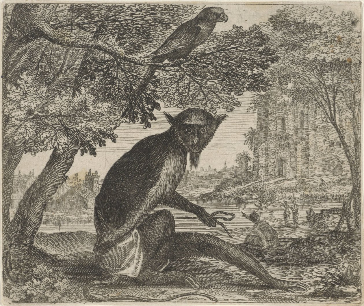 Fabel om papegojan och apan av Egidius  Sadeler (II)