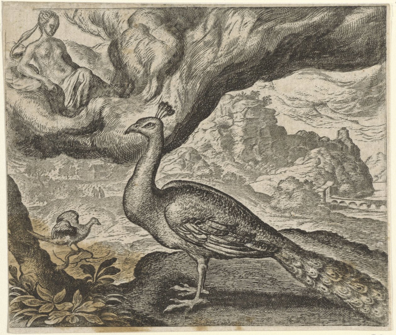 Fabel om påfågeln och näktergalen av Egidius  Sadeler (II)
