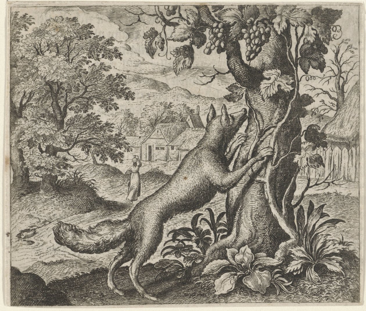 Fabel om räven och druvorna av Egidius  Sadeler (II)