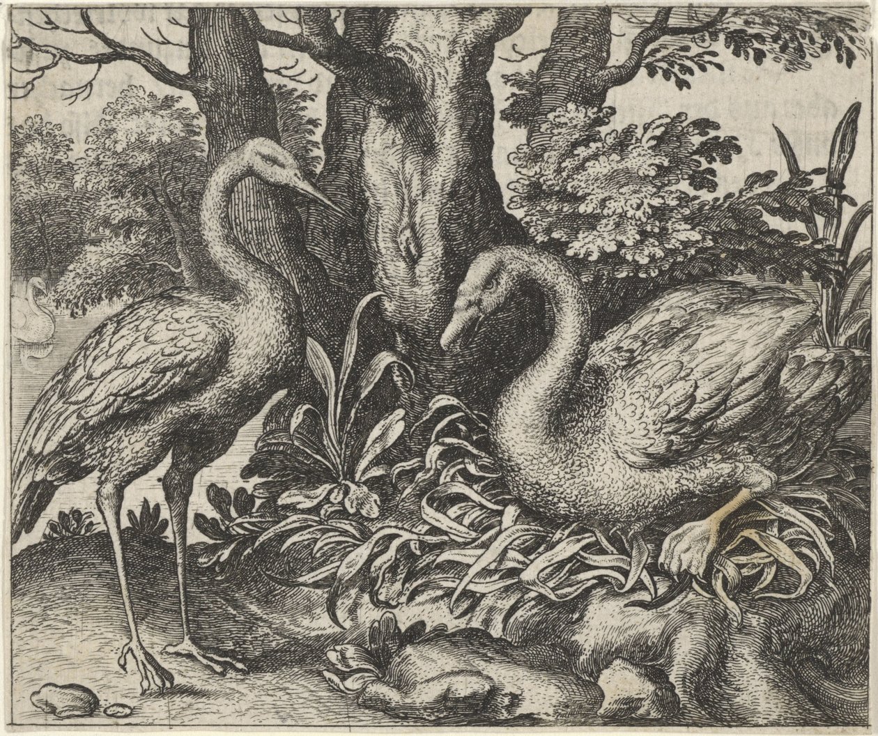 Fabel om Svanen och Storken av Egidius  Sadeler (II)