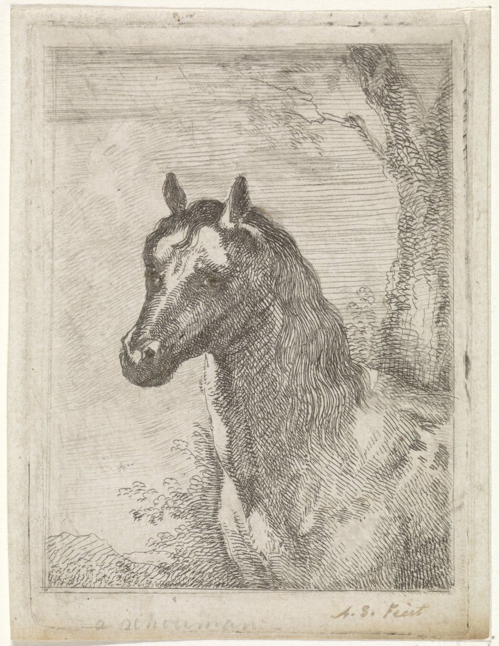 Hästhuvud av Aert Schouman (signed by artist)