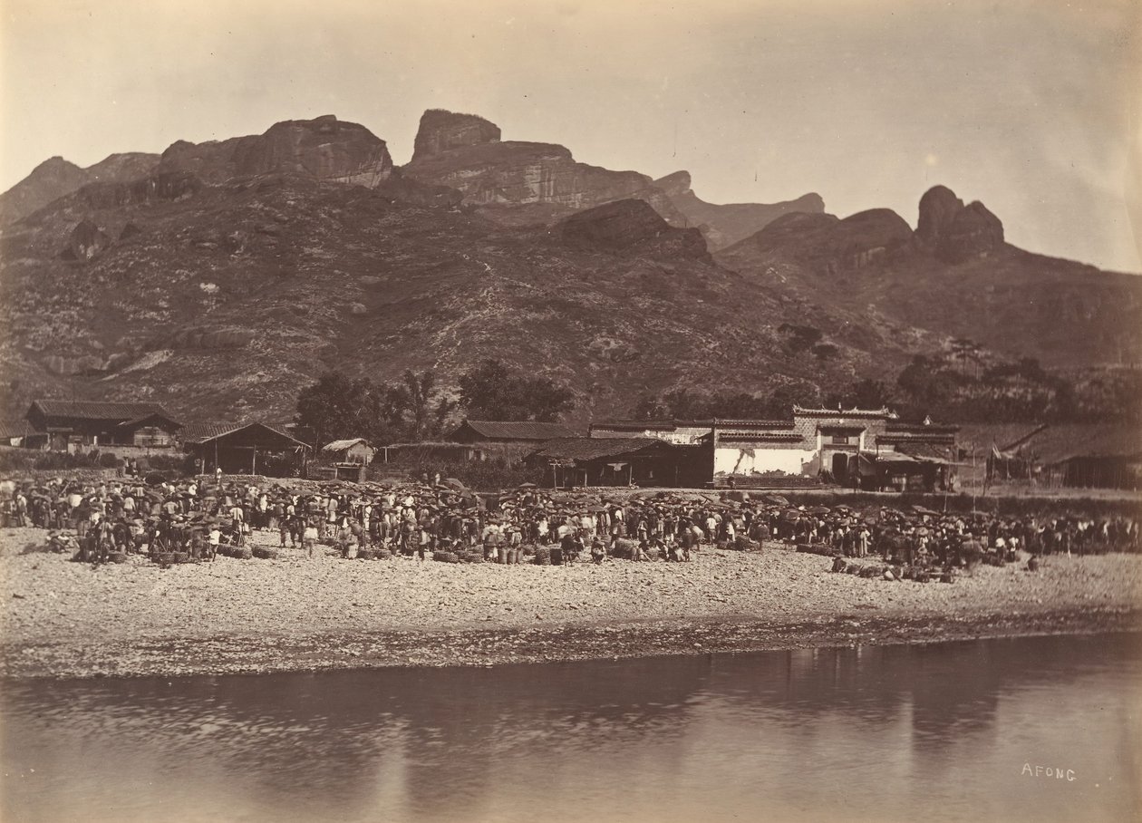 Ankmarknad, ca. 1869. av Afong Lai