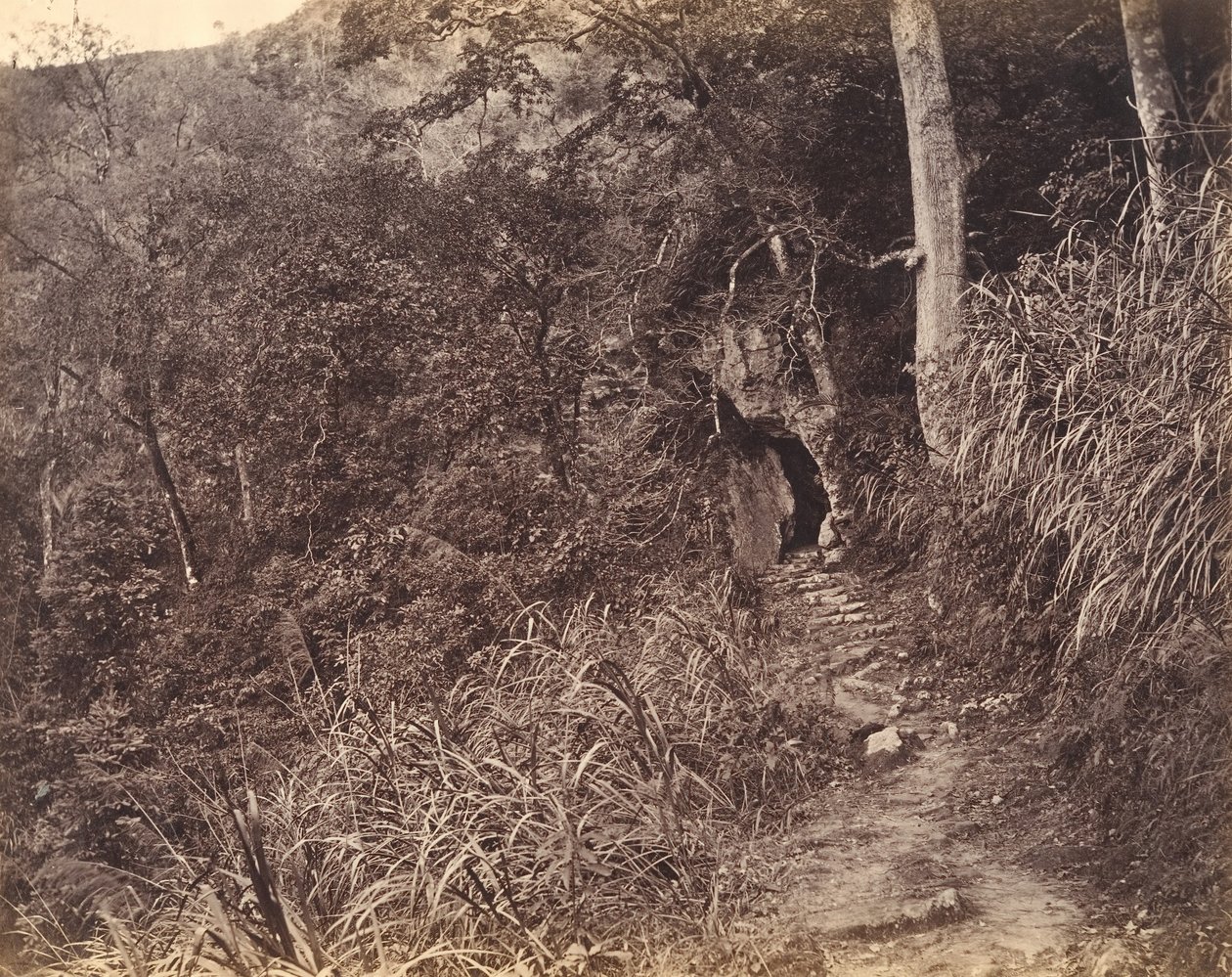 Vänster väg upp till Yuen foo kloster, ca. 1869. av Afong Lai
