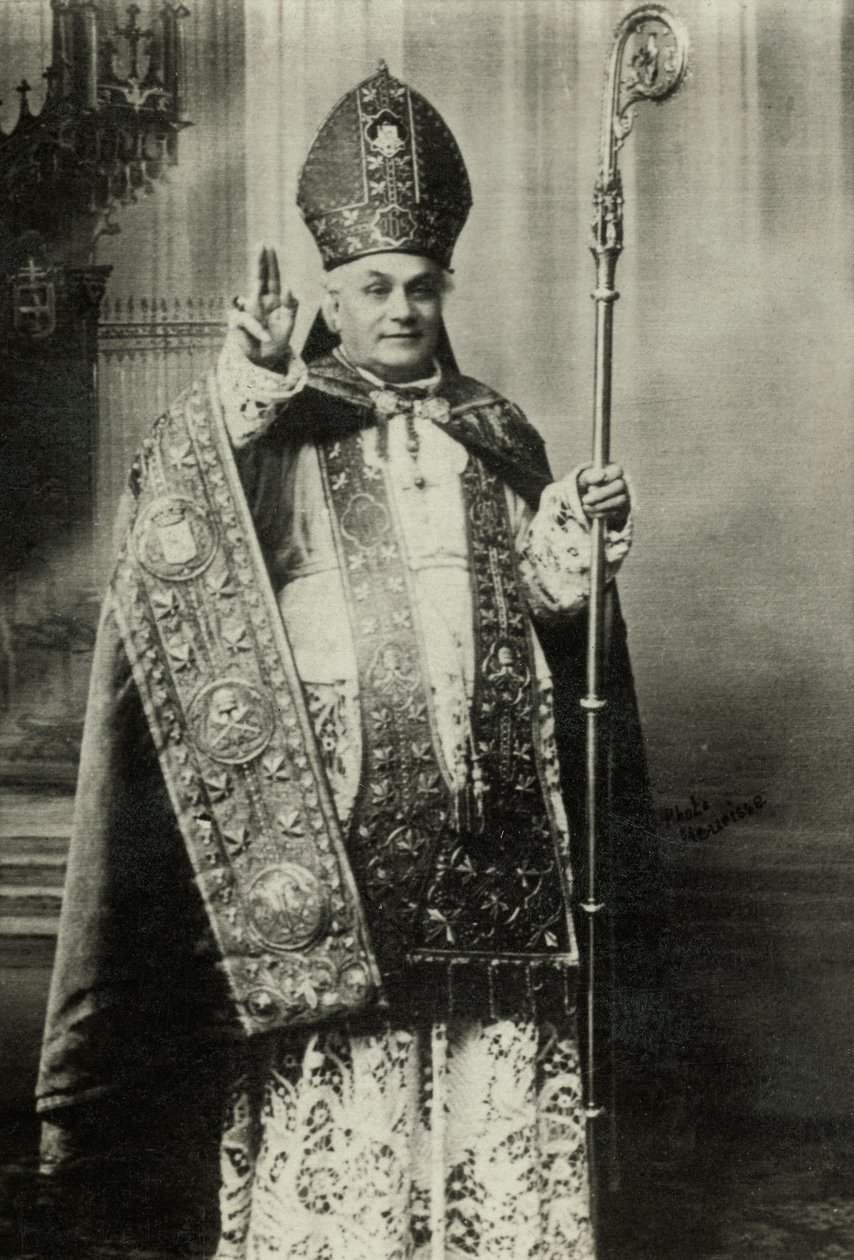 Porträtt av kardinal Louis Lucon (foto) av Agence Meurisse