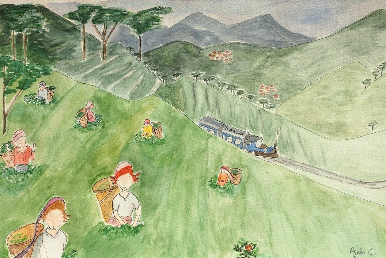 The Voyage, Darjeeling 2015 , akvarell på papper av Agnes Girardon