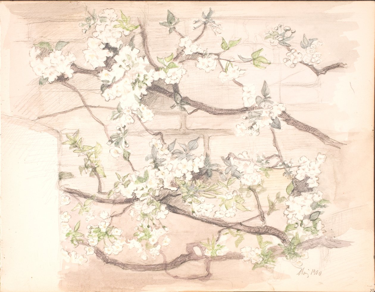Äppelblommor av Agnes Slott Møller