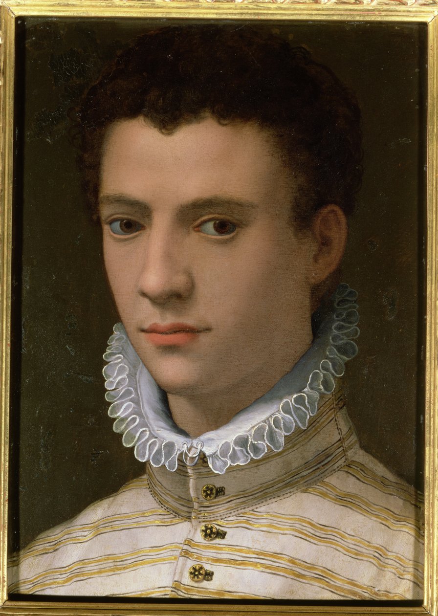 Porträtt av en ung man (olja på koppar) av Agnolo Bronzino