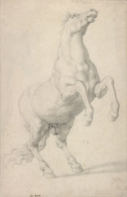 Rearing Horse av Agnolo Bronzino