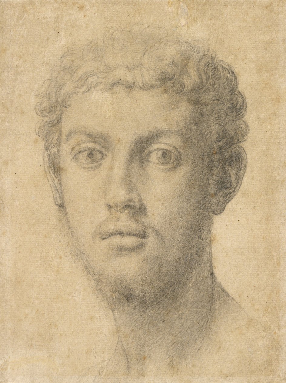 Huvud av en man av Agnolo Bronzino