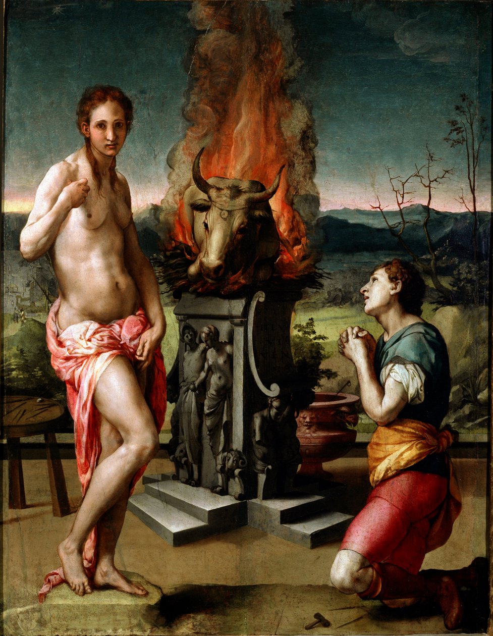 Pygmalion och Galatee (eller Galathee) Målning av Agnolo di Cosimo di Mariano i Il Bronzino (1502-1572) 1529-1530 Sön. 81x63 cm Florens, Galleria degli Uffizi (Uffizimuseet) av Agnolo Bronzino