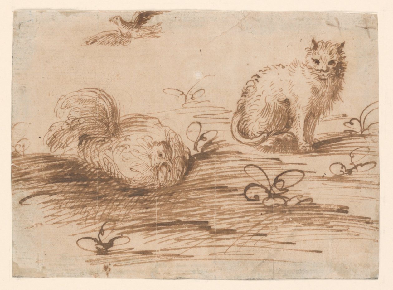 En katt och en höna av Agostino Carracci
