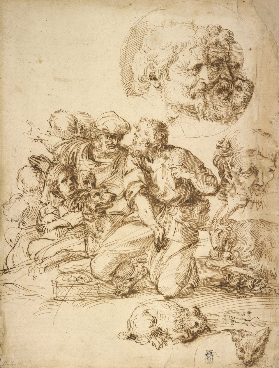 En grupp herdehundar och andra studier av Agostino Carracci